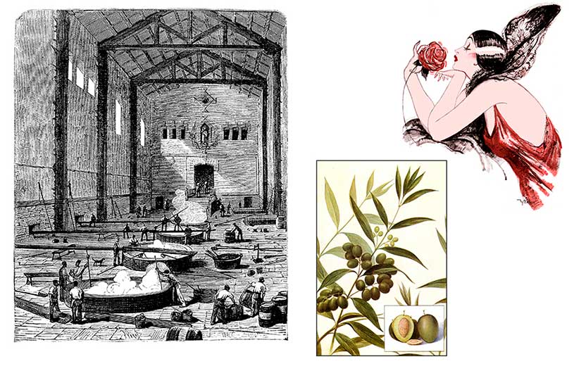 Book illustration