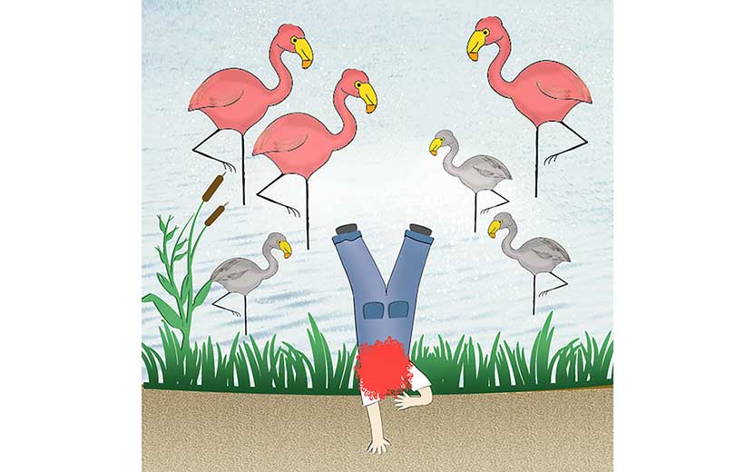 Book illustration