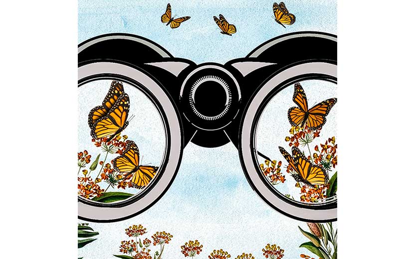 Book illustration
